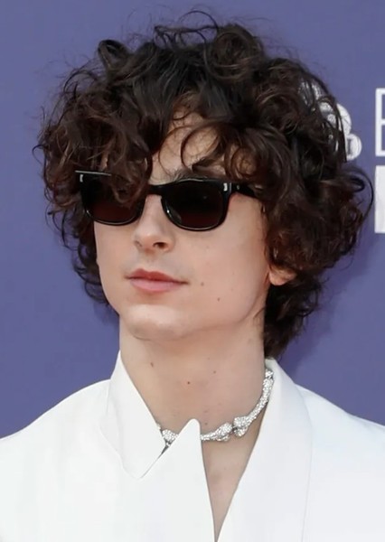 Timothée Chalamet photo