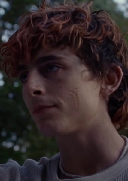 Timothée Chalamet photo