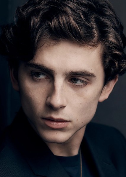 Timothée Chalamet photo