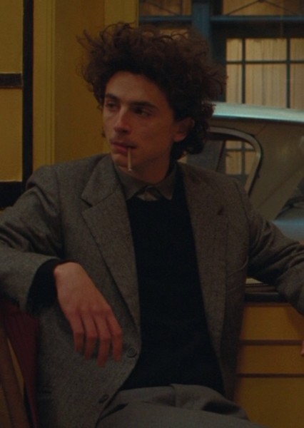 Timothée Chalamet photo