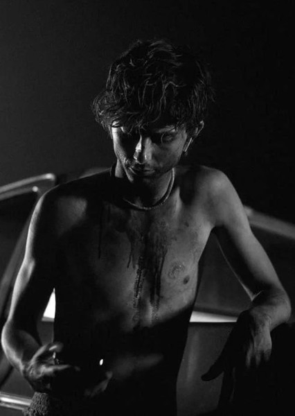 Timothée Chalamet photo