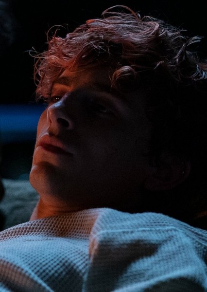 Timothée Chalamet photo