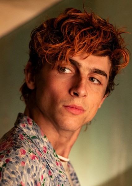 Timothée Chalamet