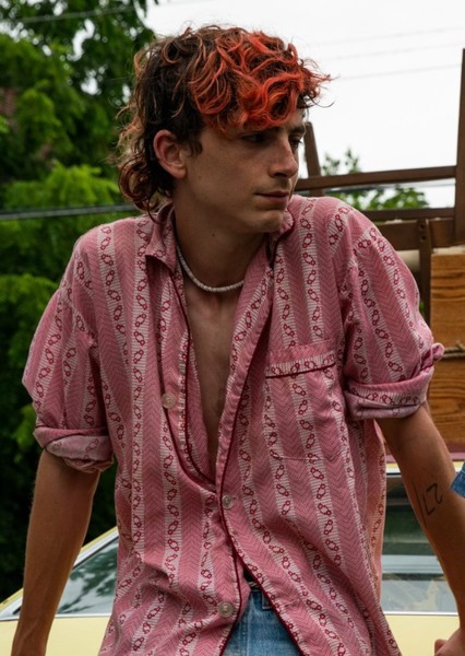 Timothée Chalamet photo