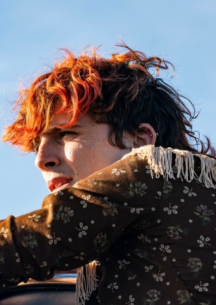 Timothée Chalamet photo