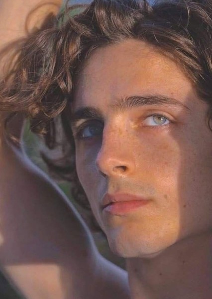 Timothée Chalamet photo