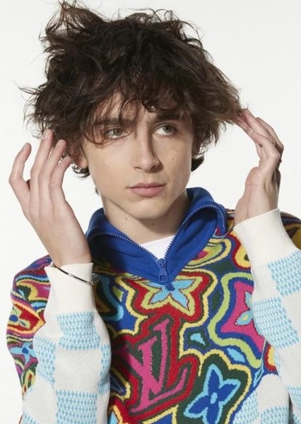 Timothée Chalamet photo
