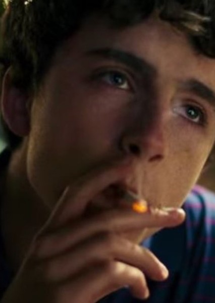 Timothée Chalamet photo