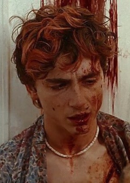 Timothée Chalamet photo