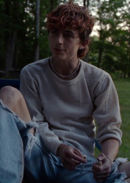 Timothée Chalamet photo
