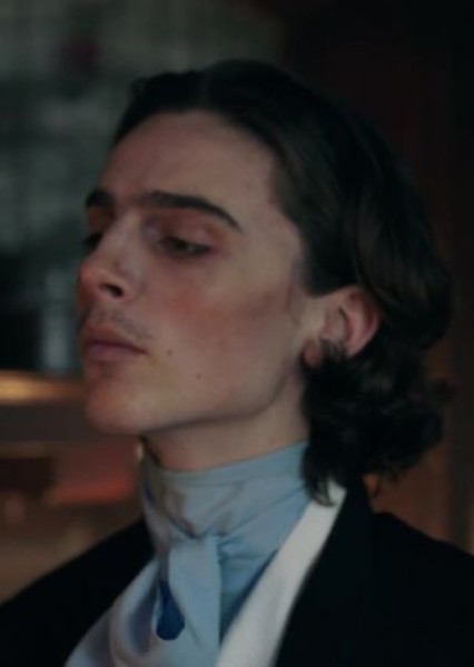 Timothée Chalamet photo