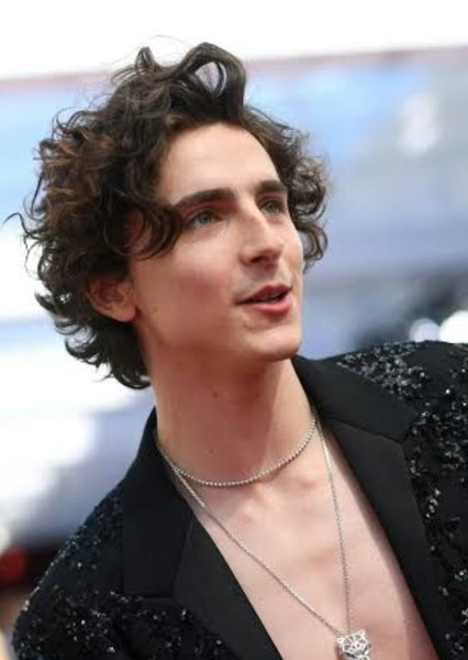 Timothée Chalamet photo