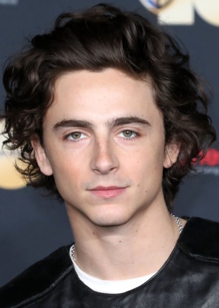 Timothée Chalamet photo