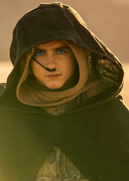 Timothée Chalamet photo