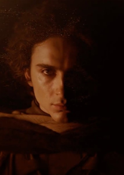 Timothée Chalamet photo