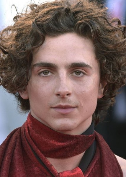 Timothée Chalamet photo