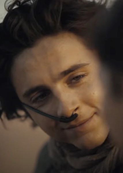Timothée Chalamet photo