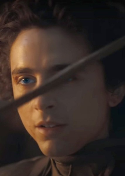 Timothée Chalamet photo