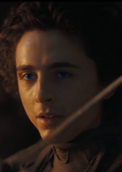 Timothée Chalamet photo