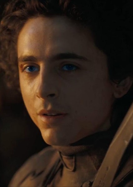 Timothée Chalamet photo