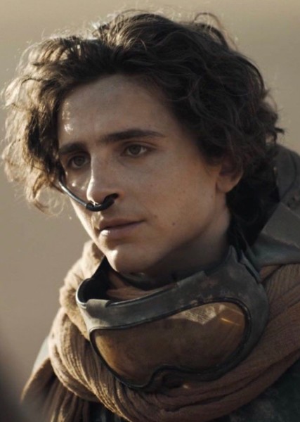 Timothée Chalamet photo