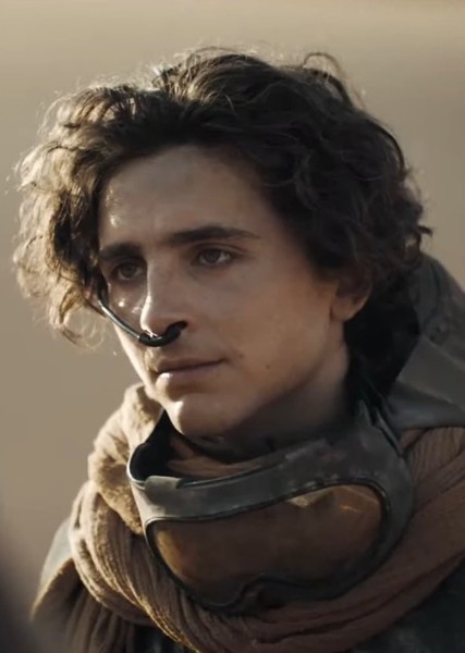 Timothée Chalamet photo