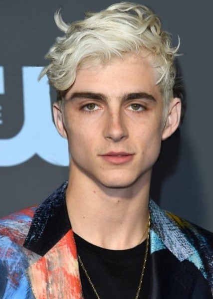 Timothée Chalamet photo
