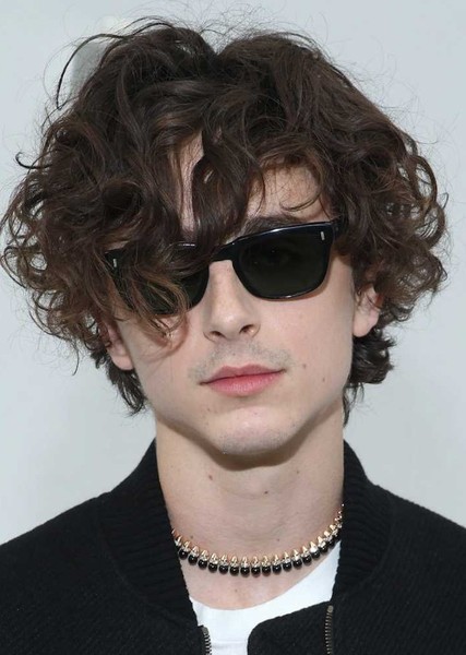 Timothée Chalamet photo