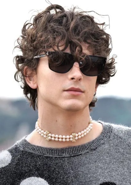 Timothée Chalamet photo