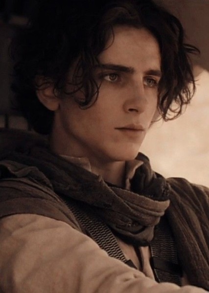Timothée Chalamet photo