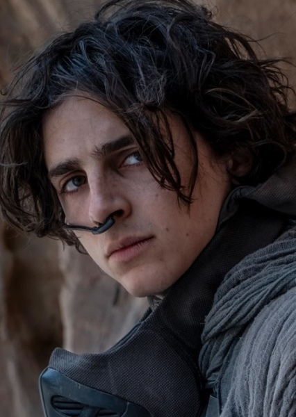 Timothée Chalamet photo