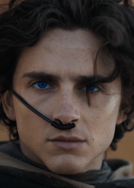 Timothée Chalamet photo