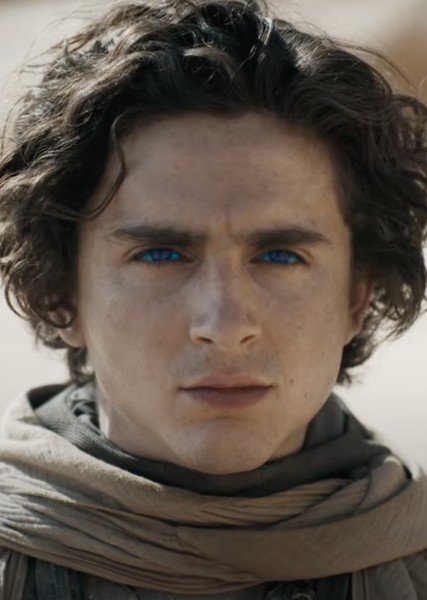 Timothée Chalamet photo
