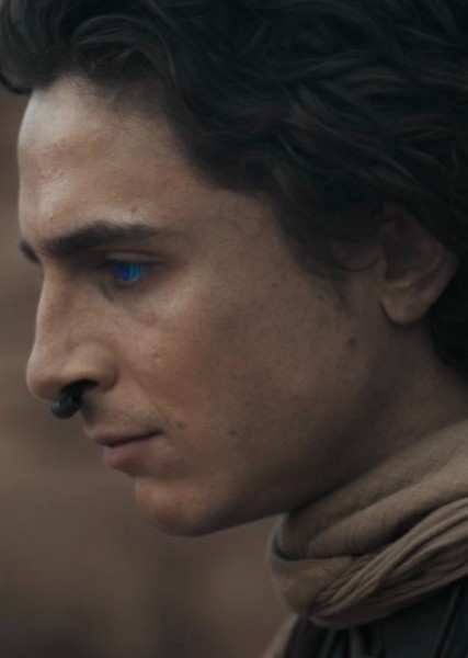 Timothée Chalamet photo