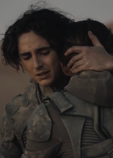 Timothée Chalamet photo