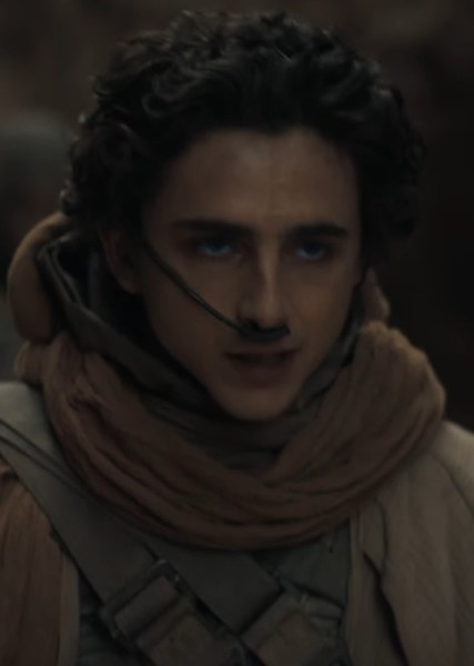 Timothée Chalamet photo