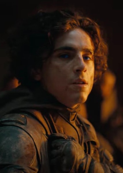 Timothée Chalamet photo