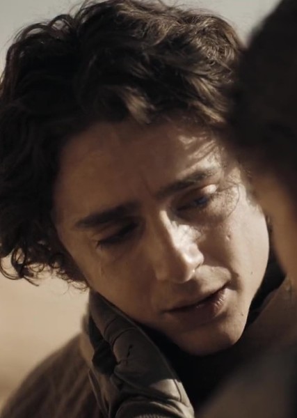 Timothée Chalamet photo