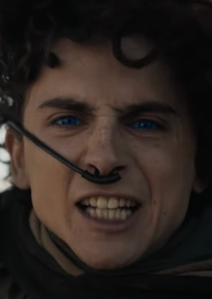 Timothée Chalamet photo