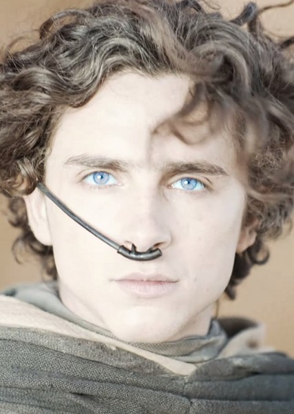 Timothée Chalamet photo