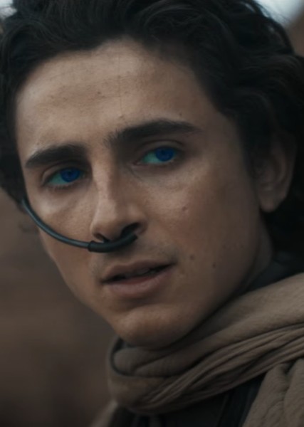 Timothée Chalamet photo