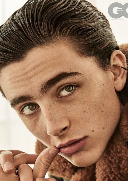 Timothée Chalamet photo