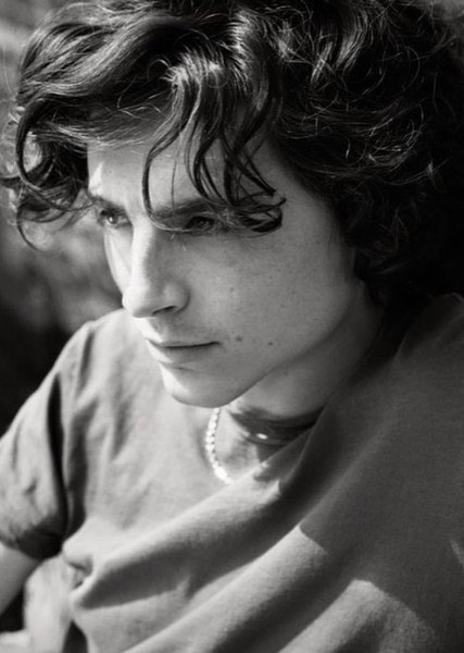Timothée Chalamet photo