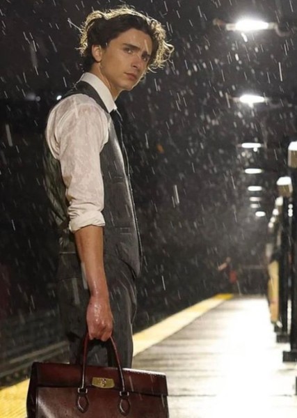 Timothée Chalamet photo