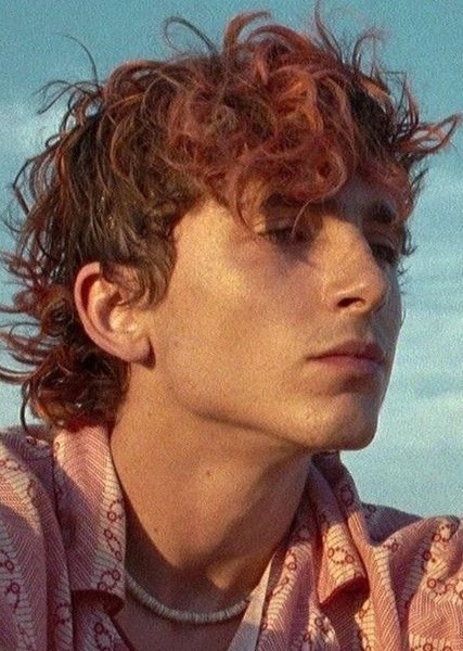 Timothée Chalamet photo