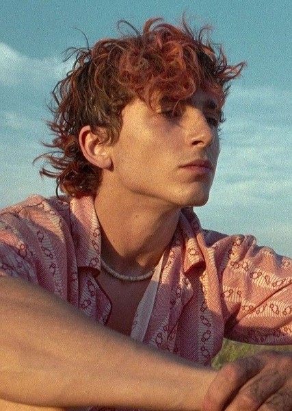 Timothée Chalamet photo