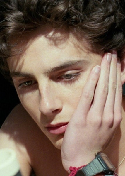 Timothée Chalamet photo