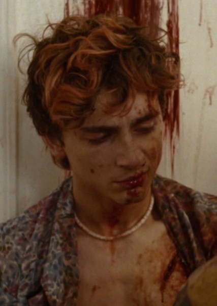 Timothée Chalamet photo