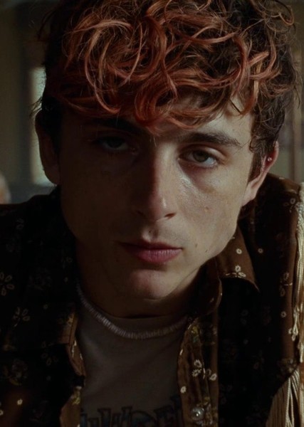 Timothée Chalamet photo