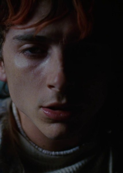 Timothée Chalamet photo
